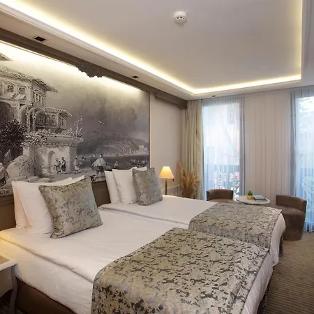 Hotel Ahc Ayasofya - Special Class 4*
