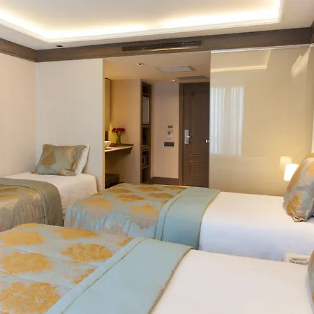 Ahc Ayasofya - Special Class Hotell Istanbul