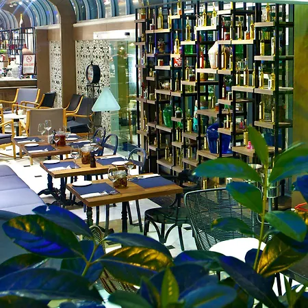 Ahc Ayasofya - Special Class