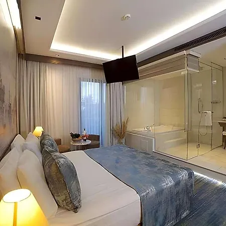 Ahc Ayasofya - Special Class 4* Стамбул