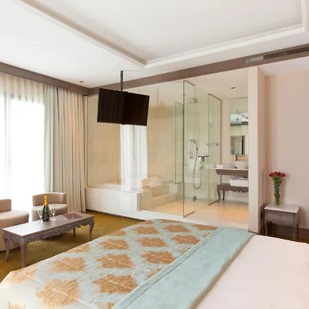 Ahc Ayasofya - Special Class Hotel Istanbul