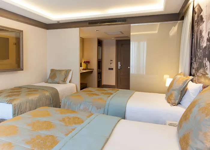 Ahc Ayasofya - Special Class מלון איסטמבול