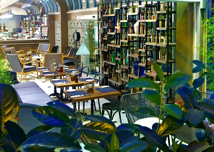 Ahc Ayasofya - Special Class