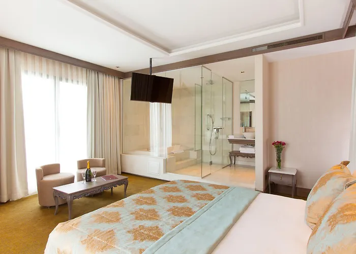 Ahc Ayasofya - Special Class 4* איסטמבול